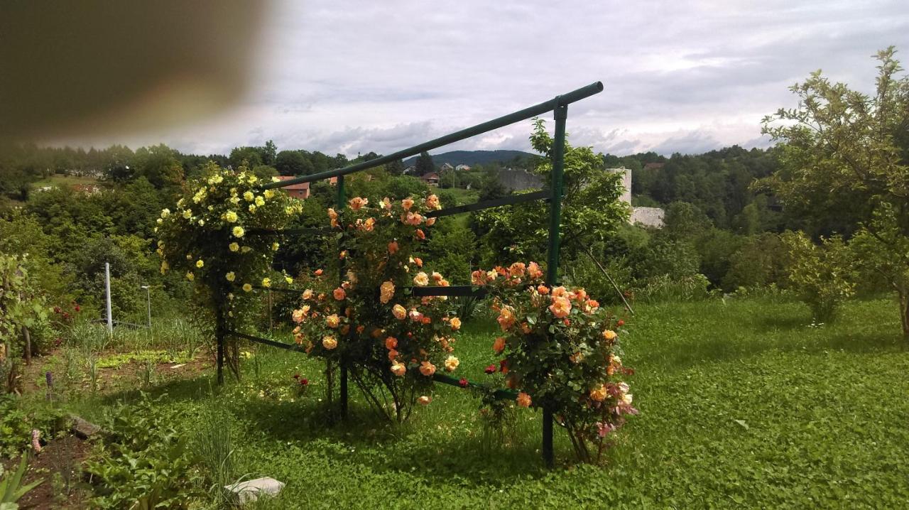 Soba Agata Hotel Slunj Bagian luar foto
